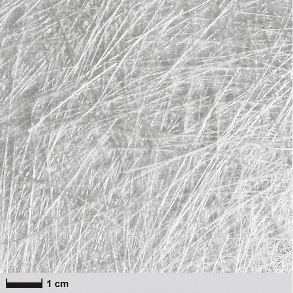 perspectief Amfibisch Langskomen Glasmat 300 g/m² 125 cm breed